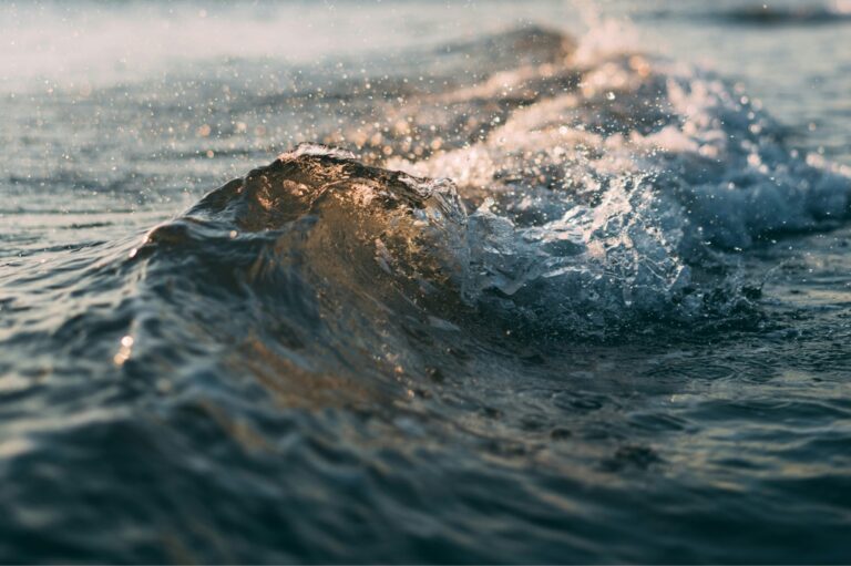 small-wave-min